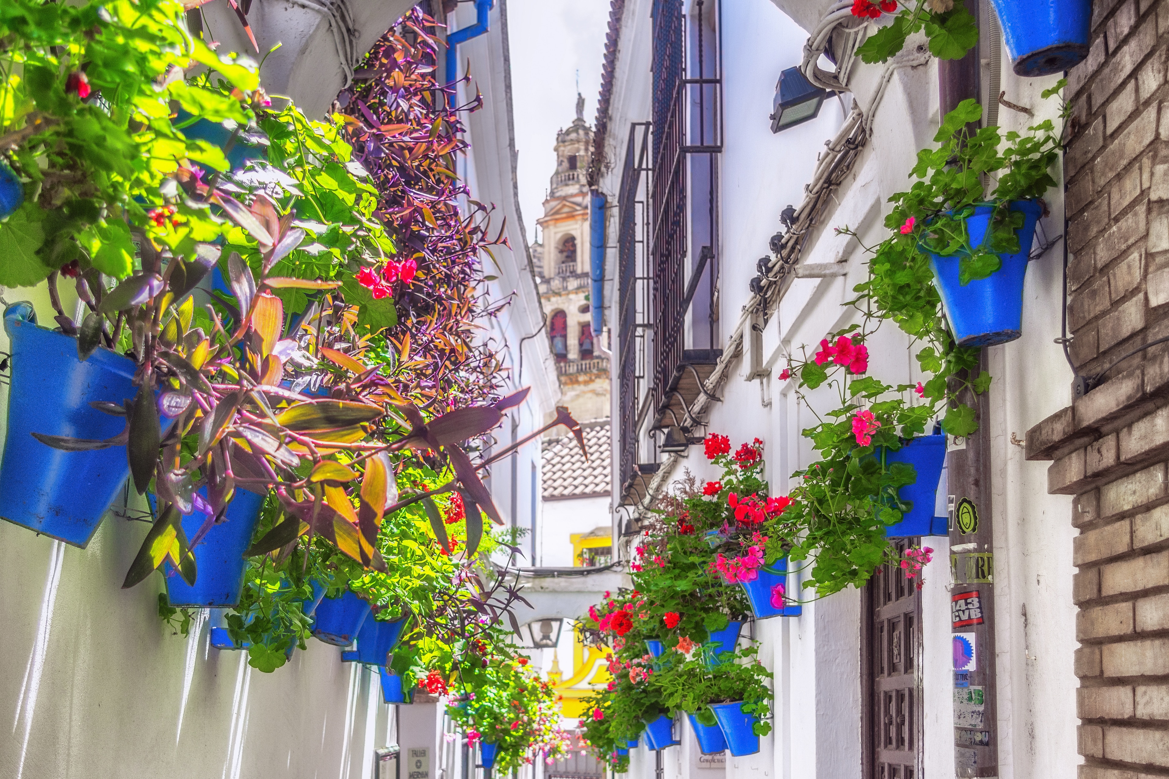 Calleja de las Flores